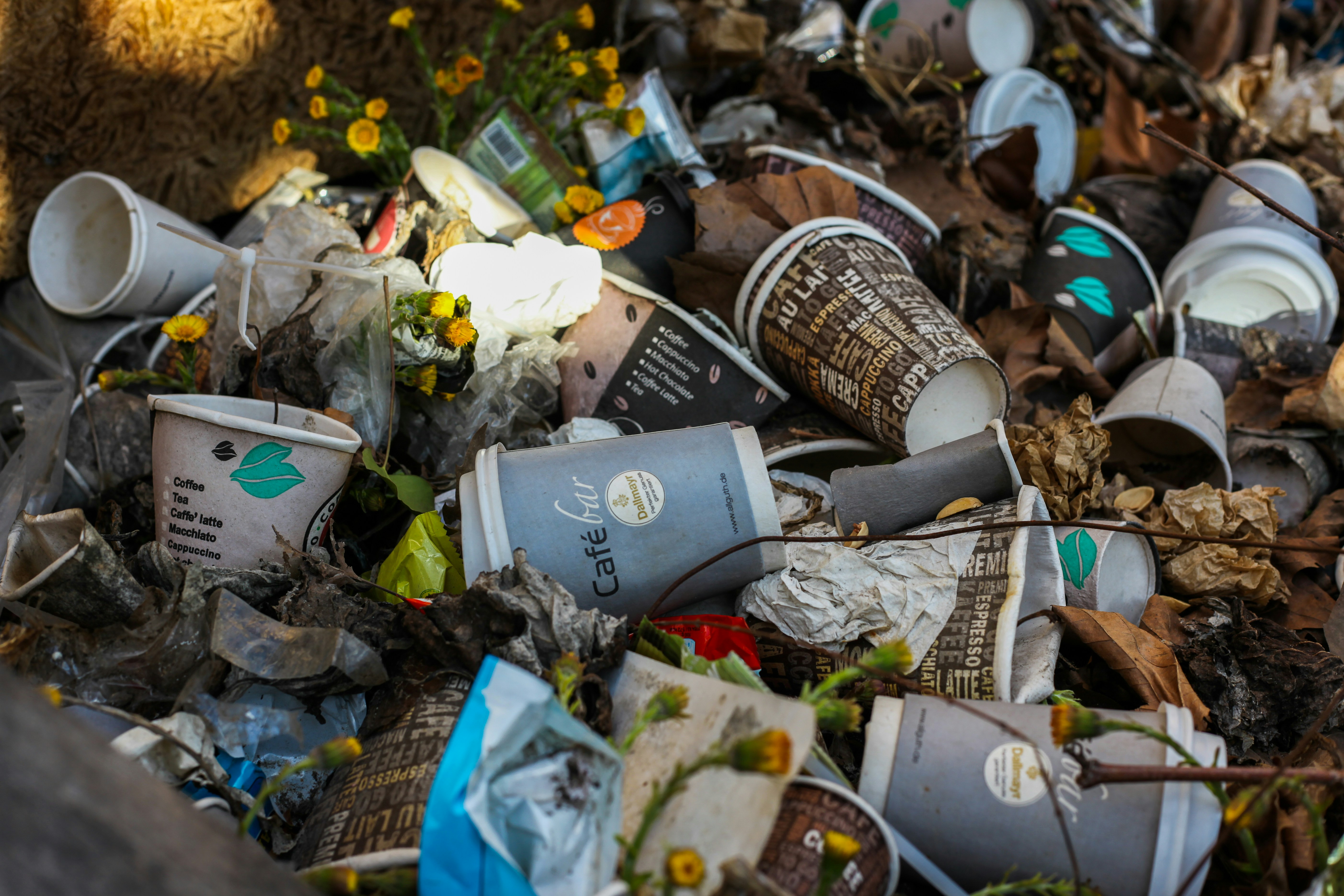 Material Image Classification & Recyclability